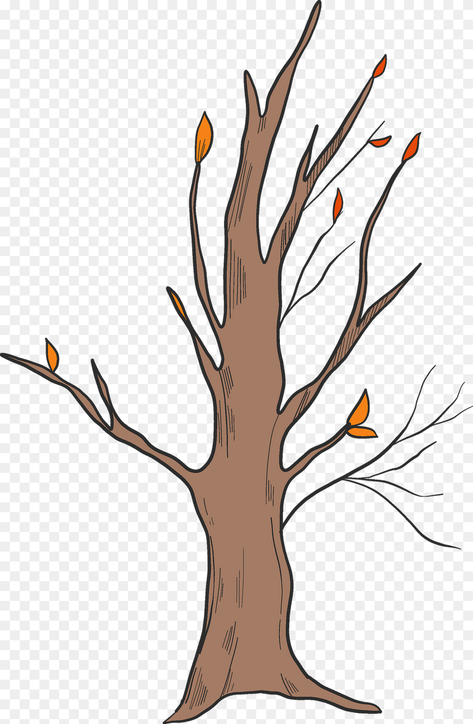 Fall Tree Clipart, Plant, Art, Tree Trunk, Drawing Free Png