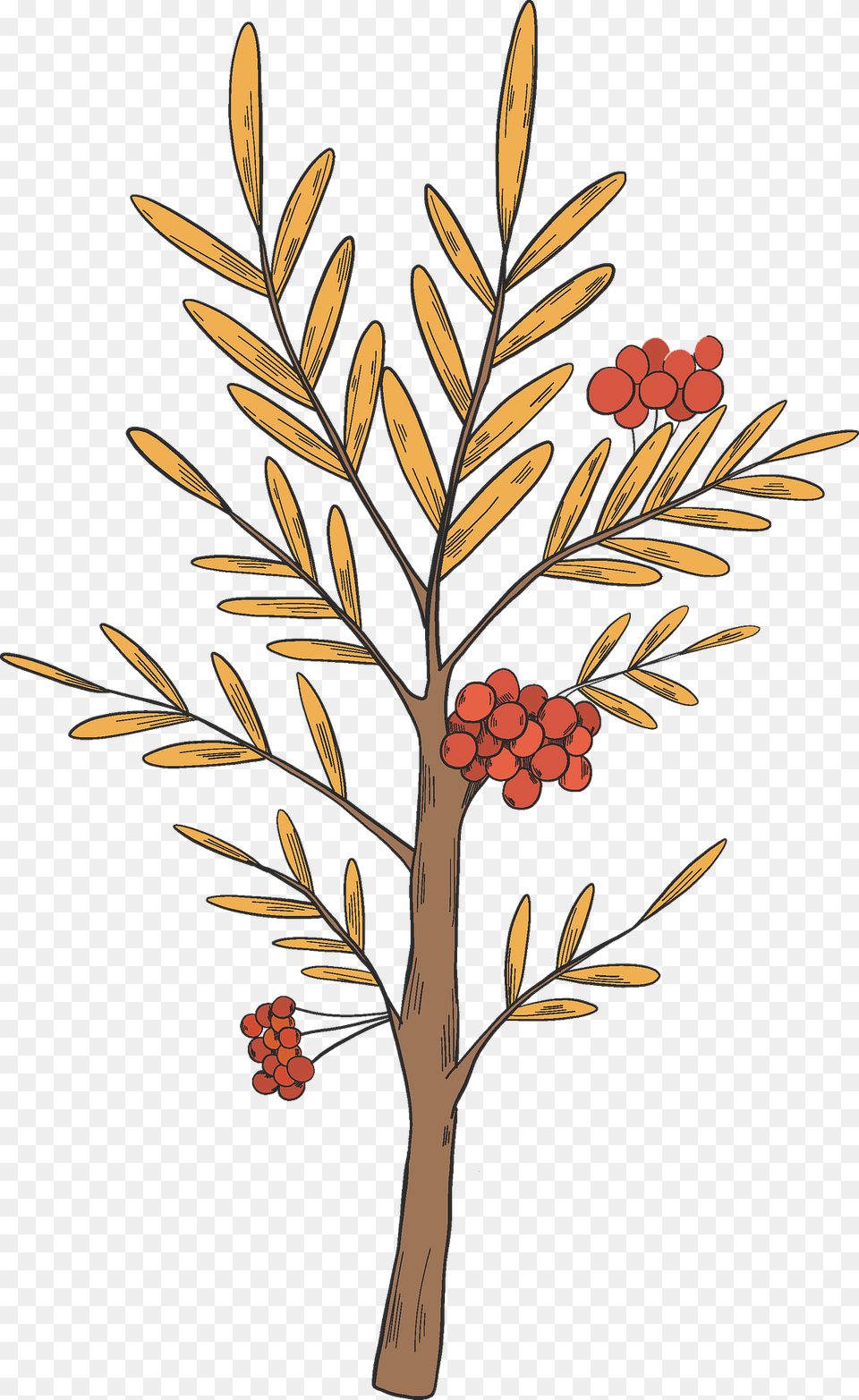 Fall Tree Clipart, Plant, Pattern, Graphics, Floral Design Png Image