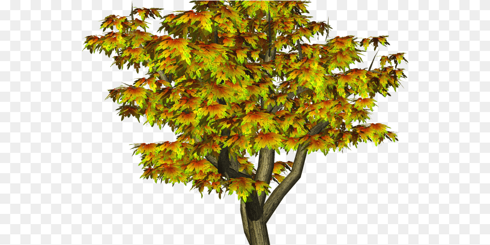 Fall Tree Clipart All Photo Editing, Leaf, Maple, Plant Png Image