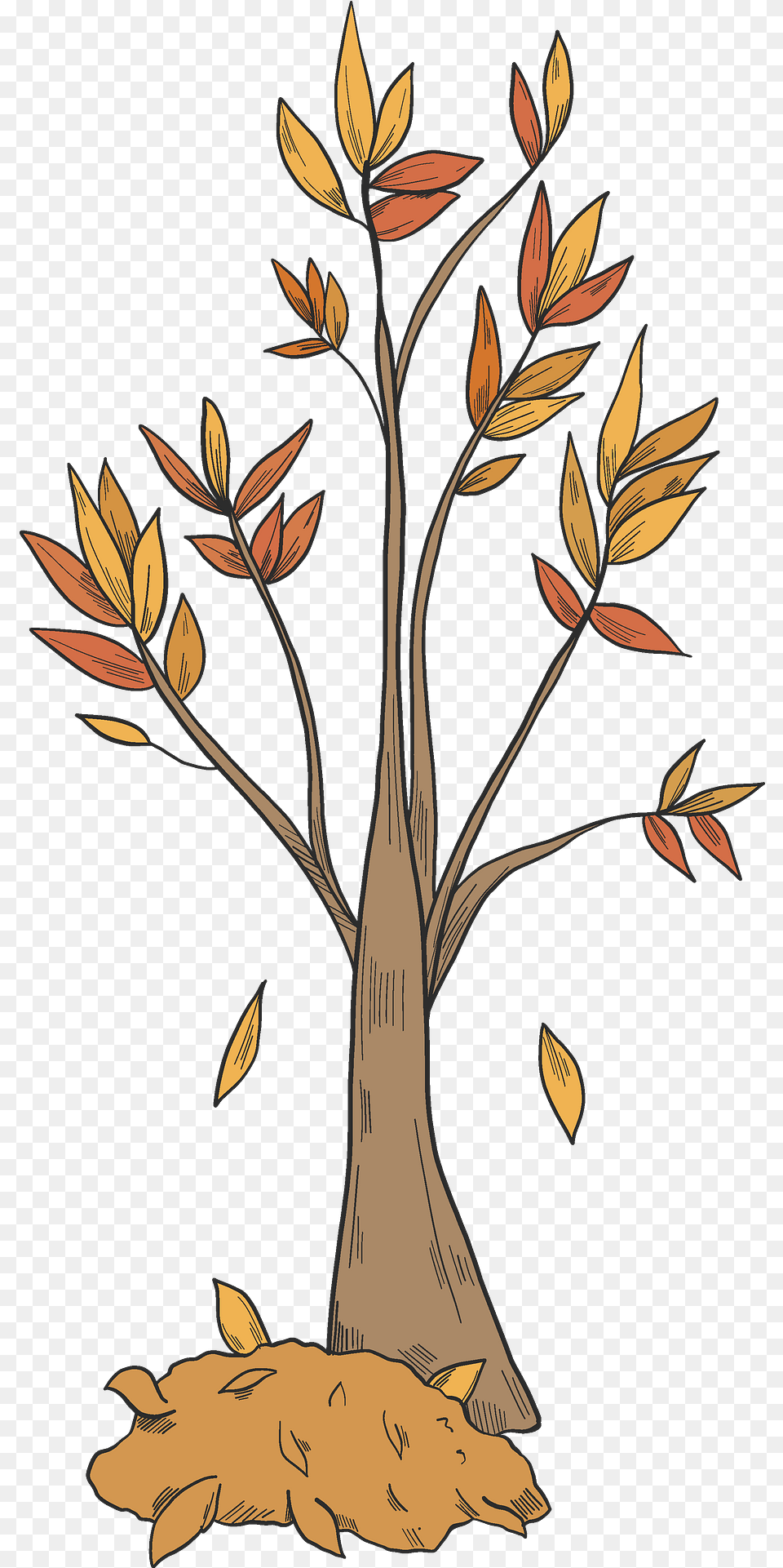 Fall Tree Clipart Download Creazilla Rosa Glauca, Art, Plant, Pattern, Graphics Png Image