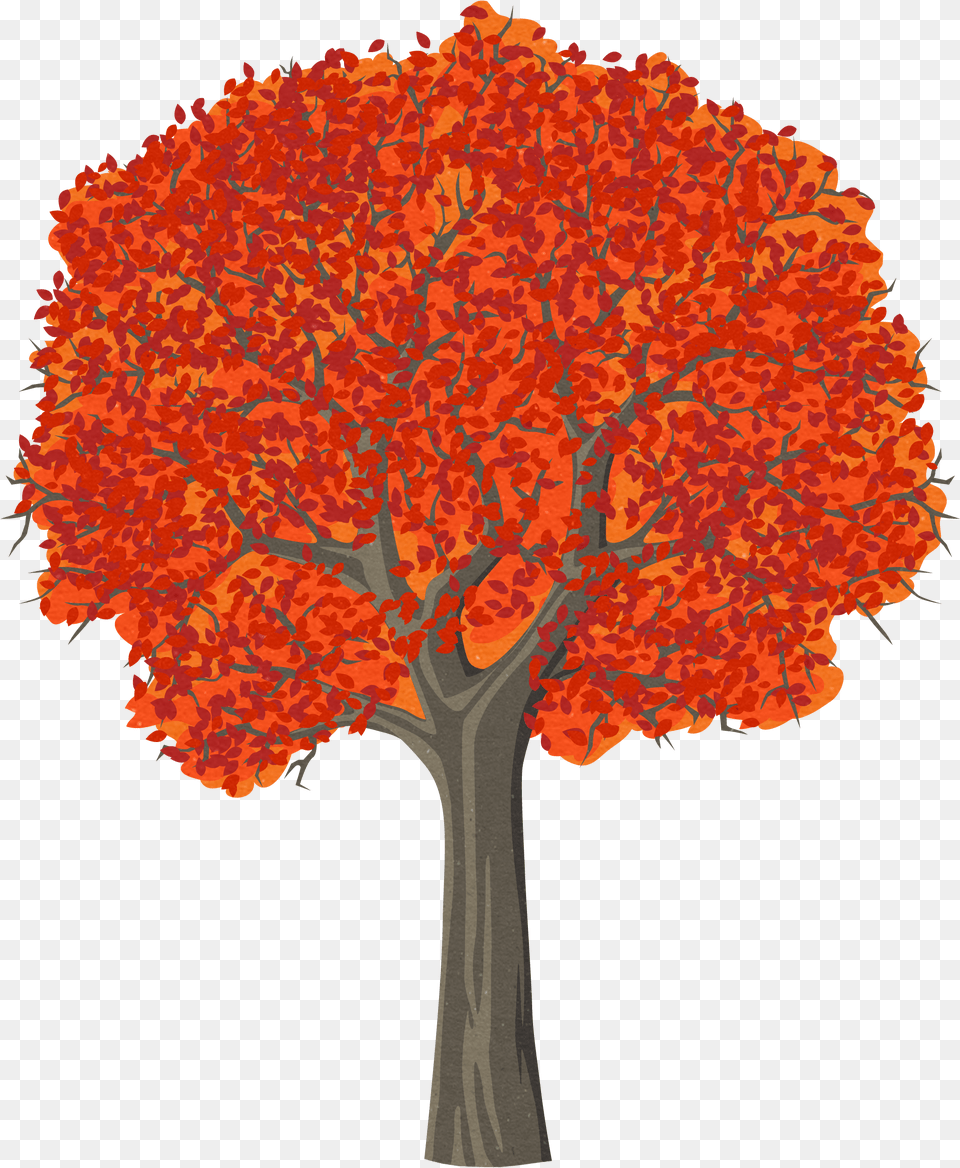 Fall Tree Clipart Red Maple Tree Drawing, Plant, Leaf Free Transparent Png