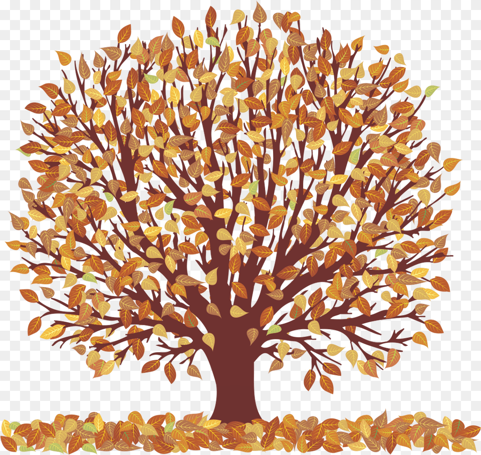 Fall Tree Clipartsr Download Clip Art Family Thanksgiving Dinner Invitation, Plant, Leaf, Oak, Sycamore Free Png