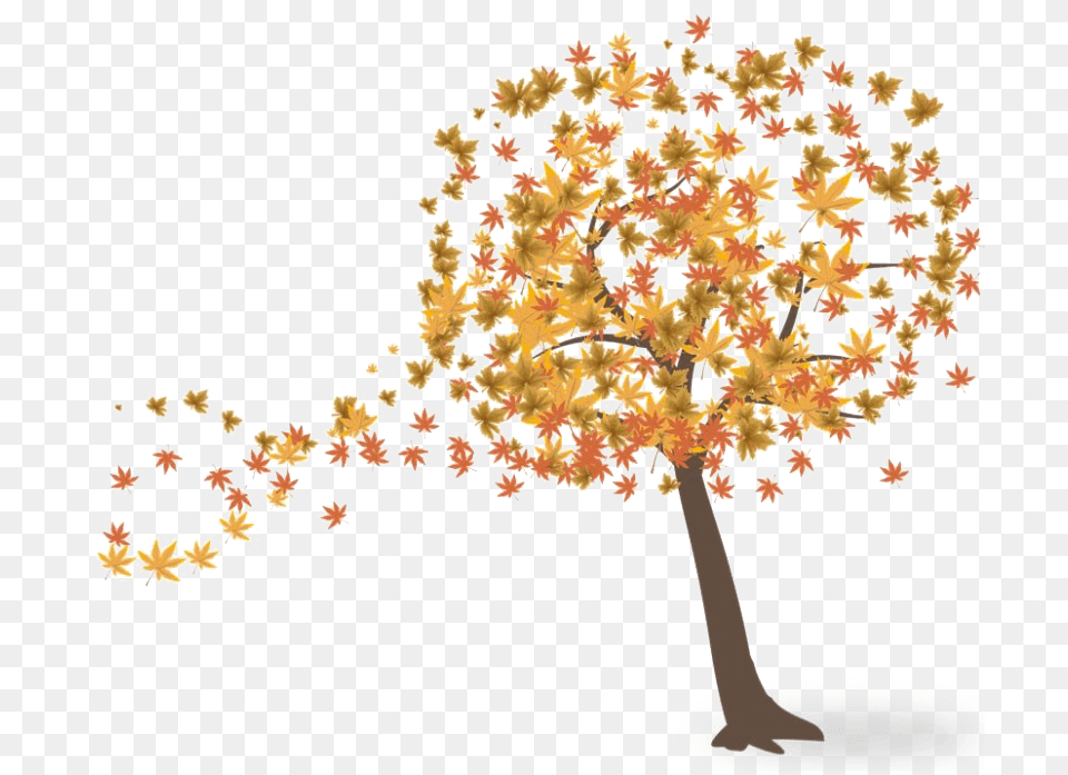 Fall Tree Mart Fall Tree, Maple, Plant, Leaf, Oak Free Png Download
