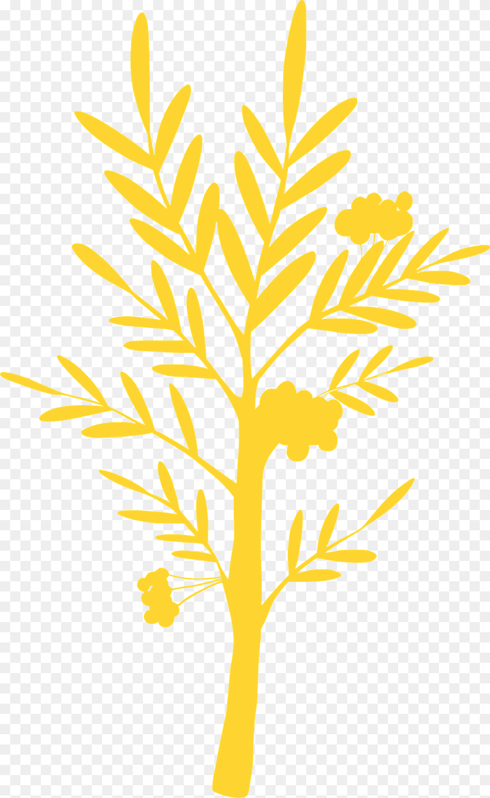 Fall Tree Silhouette, Plant, Flower, Leaf, Art Free Transparent Png