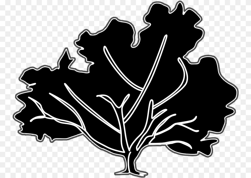 Fall Tree Silhouette Illustration, Leaf, Plant, Stencil Png