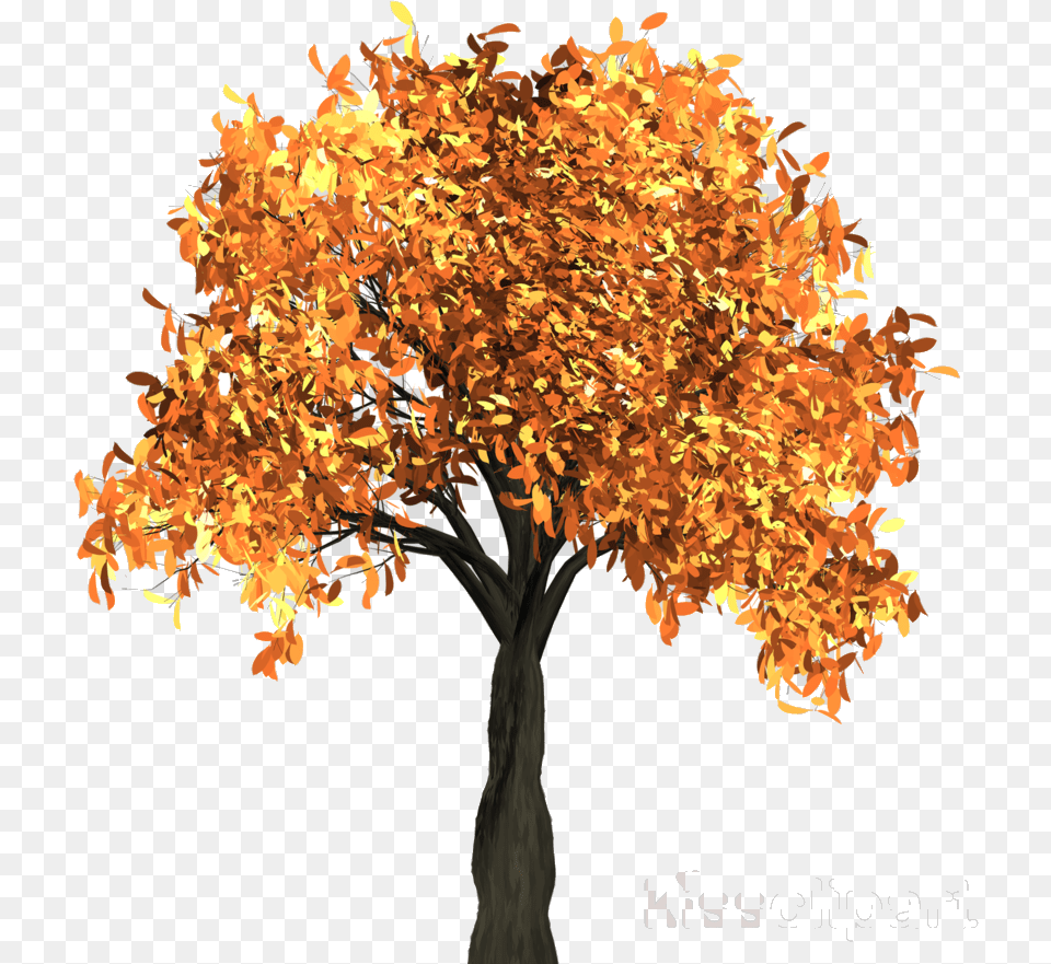 Fall Tree Transparent Clipart Clip Art, Leaf, Maple, Plant Free Png Download