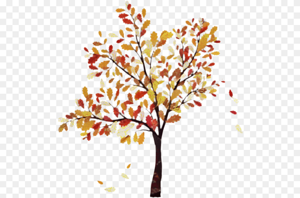 Fall Tree Vector Graphics Oak Clip Art Autumn Tree Vector, Leaf, Plant, Painting, Flower Free Transparent Png