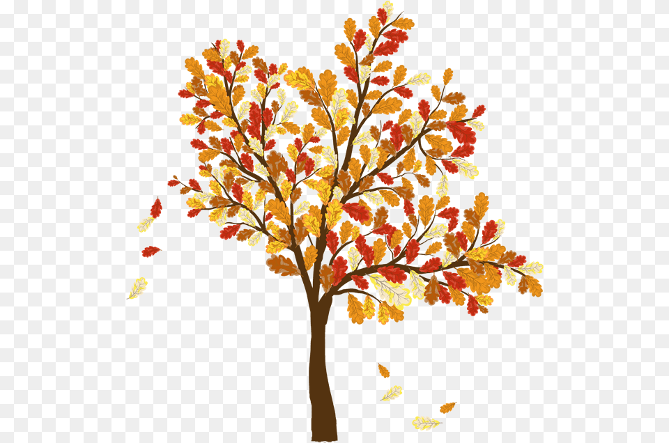 Fall Trees And Leaves Clip Art Picture Of Tree With Oak Tree With Falling Leaves, Leaf, Plant, Maple, Sycamore Free Transparent Png