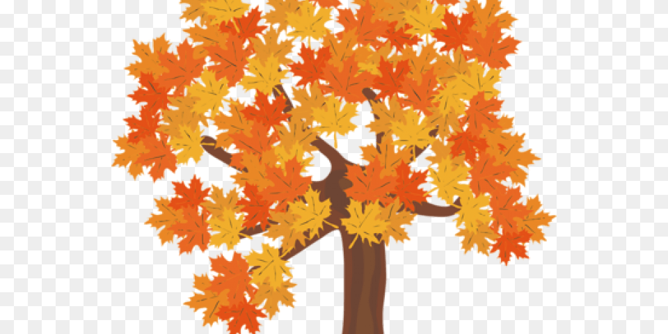 Fall Trees Clipart Fall Tree Background, Leaf, Maple, Plant, Person Png