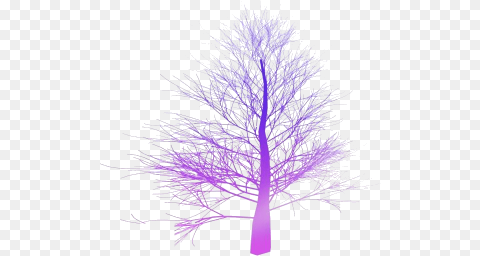 Fall Trees Transparent Images Spruce Tree No Leaves, Plant, Purple, Art Png