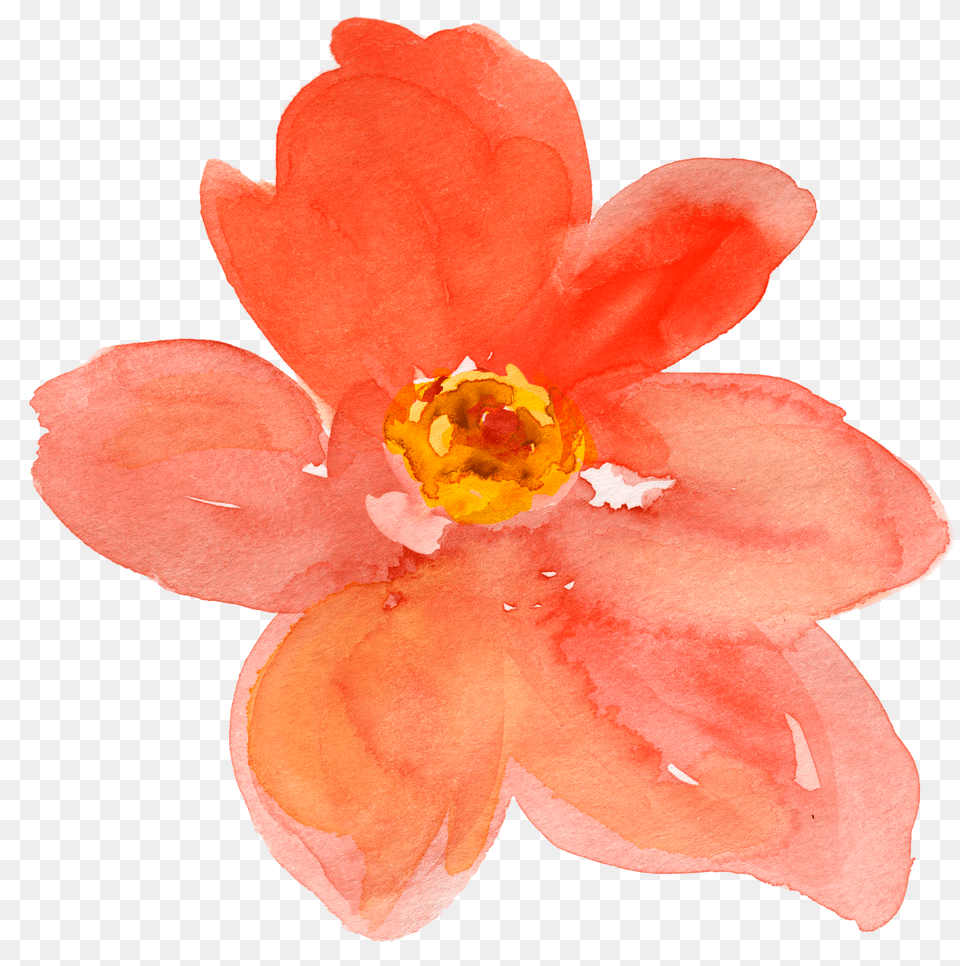 Fall Watercolor Floral Clip Art So Pretty Orange Watercolor Flower Anther, Petal, Plant, Rose Free Transparent Png