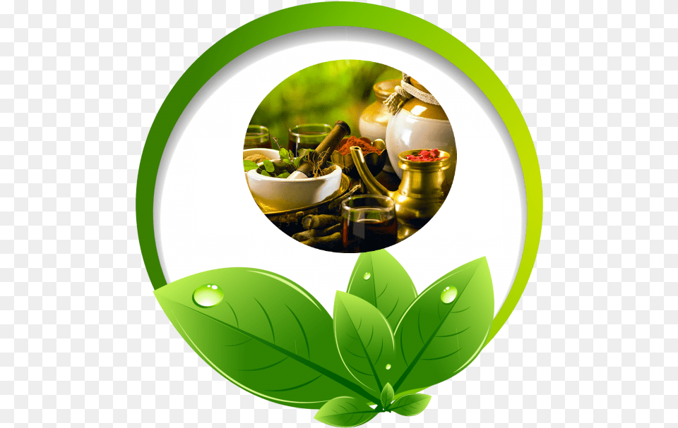 Fall Yoga And Ayurveda, Herbal, Herbs, Leaf, Plant Png