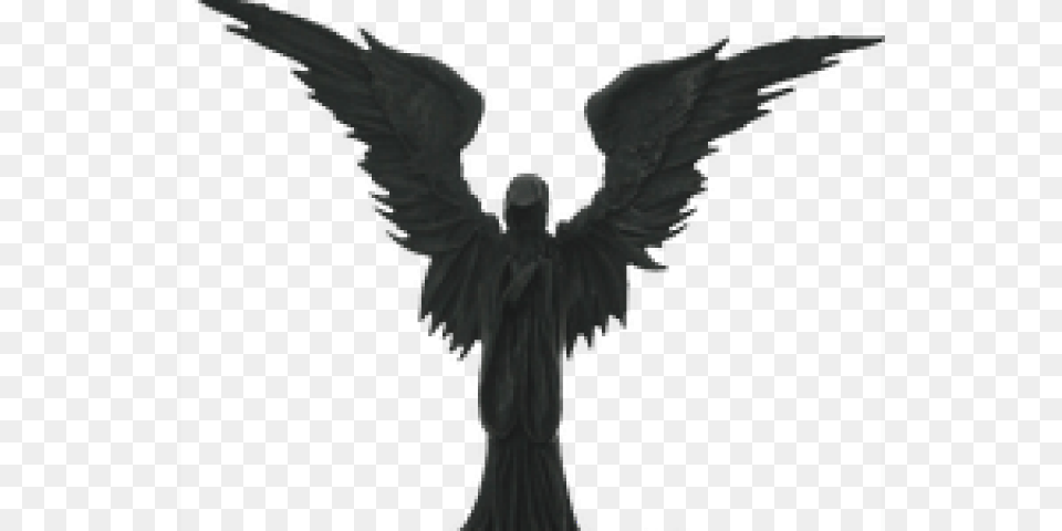 Fallen Angel Clipart Angel Of Death, Animal, Bird, Vulture, Adult Png Image