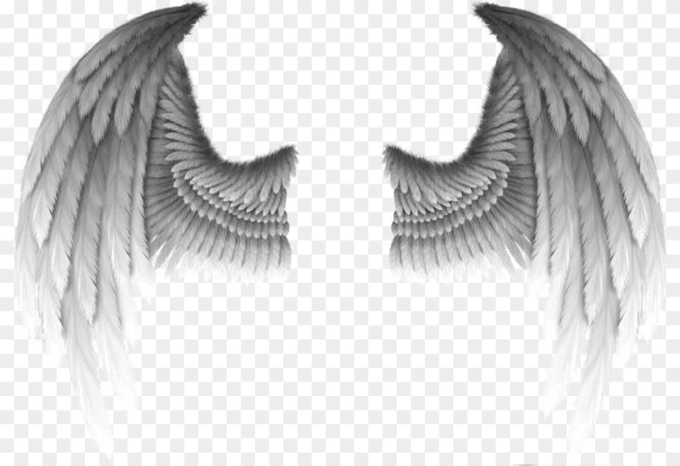 Fallen Angel Devil Wing Demon Realistic Gold Angel Wings, Animal, Bird Free Transparent Png