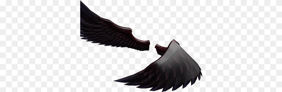 Fallen Angle Starter Wings Roblox Shield, Animal, Bird, Vulture, Blade Free Png Download