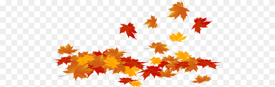Fallen Autumn Leaves Clip Art Image Transparent Background Fall Leaves Clipart, Leaf, Maple, Plant, Tree Png