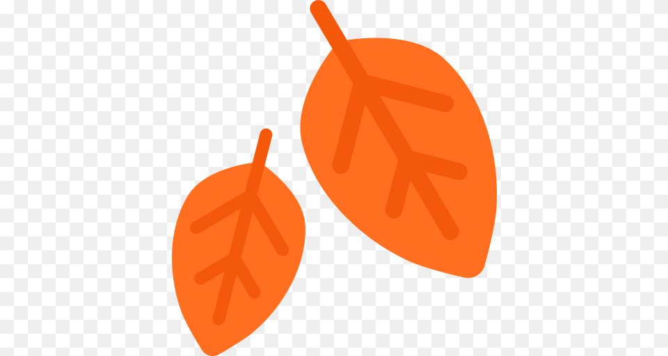 Fallen Leaf Emoji For Facebook Email Sms Id, Plant, Food, Fruit, Produce Png Image