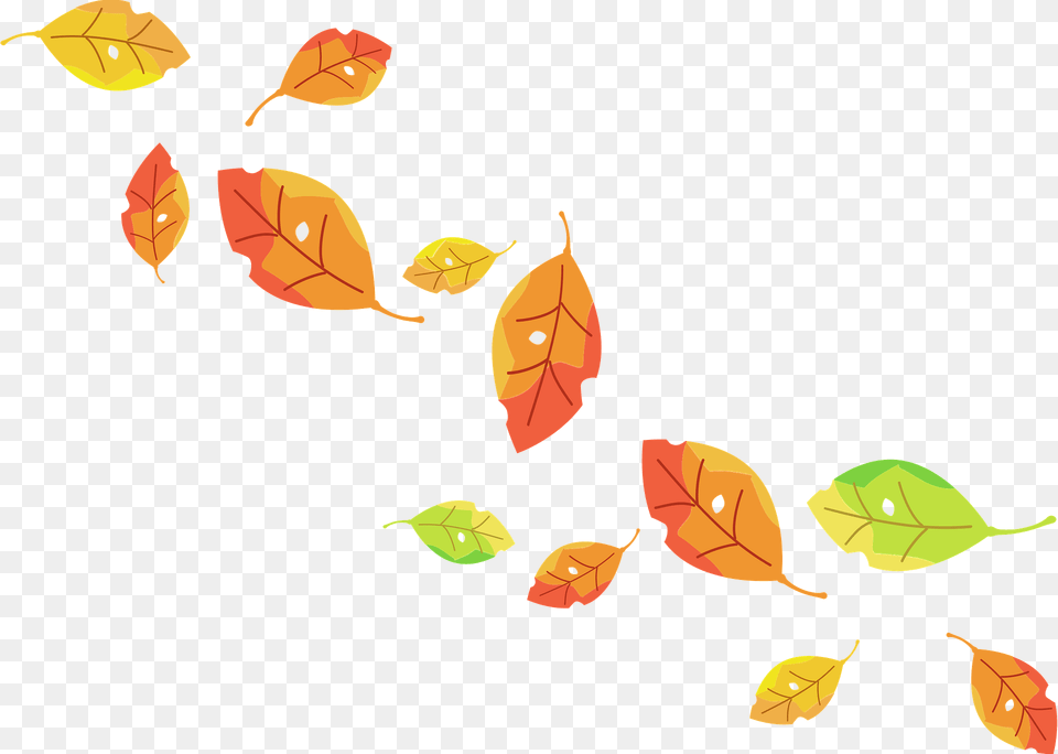 Fallen Leaves Clipart, Leaf, Plant, Animal, Reptile Free Png