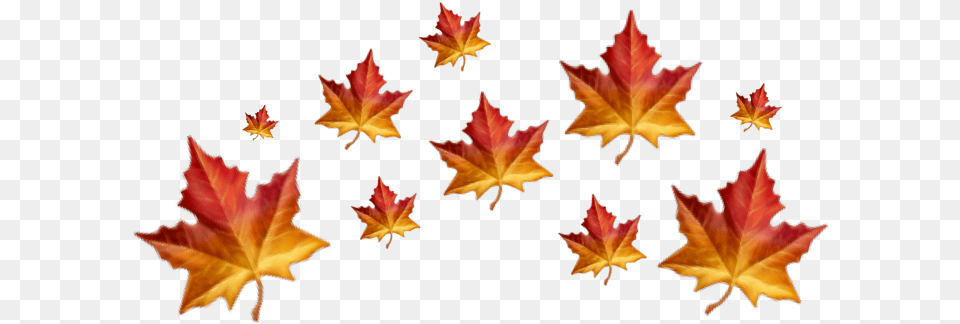 Falling Autumn Leaves For Editing, Leaf, Maple, Plant, Tree Free Png Download