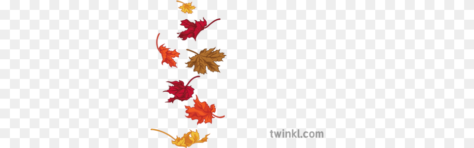 Falling Autumn Leaves General Nature Seasons Secondary Illustration, Leaf, Plant, Tree Png