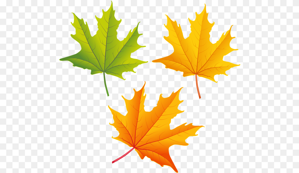 Falling Autumn Leaves High Quality Image Fall Leaves Clip Art, Leaf, Plant, Tree, Maple Leaf Free Png Download