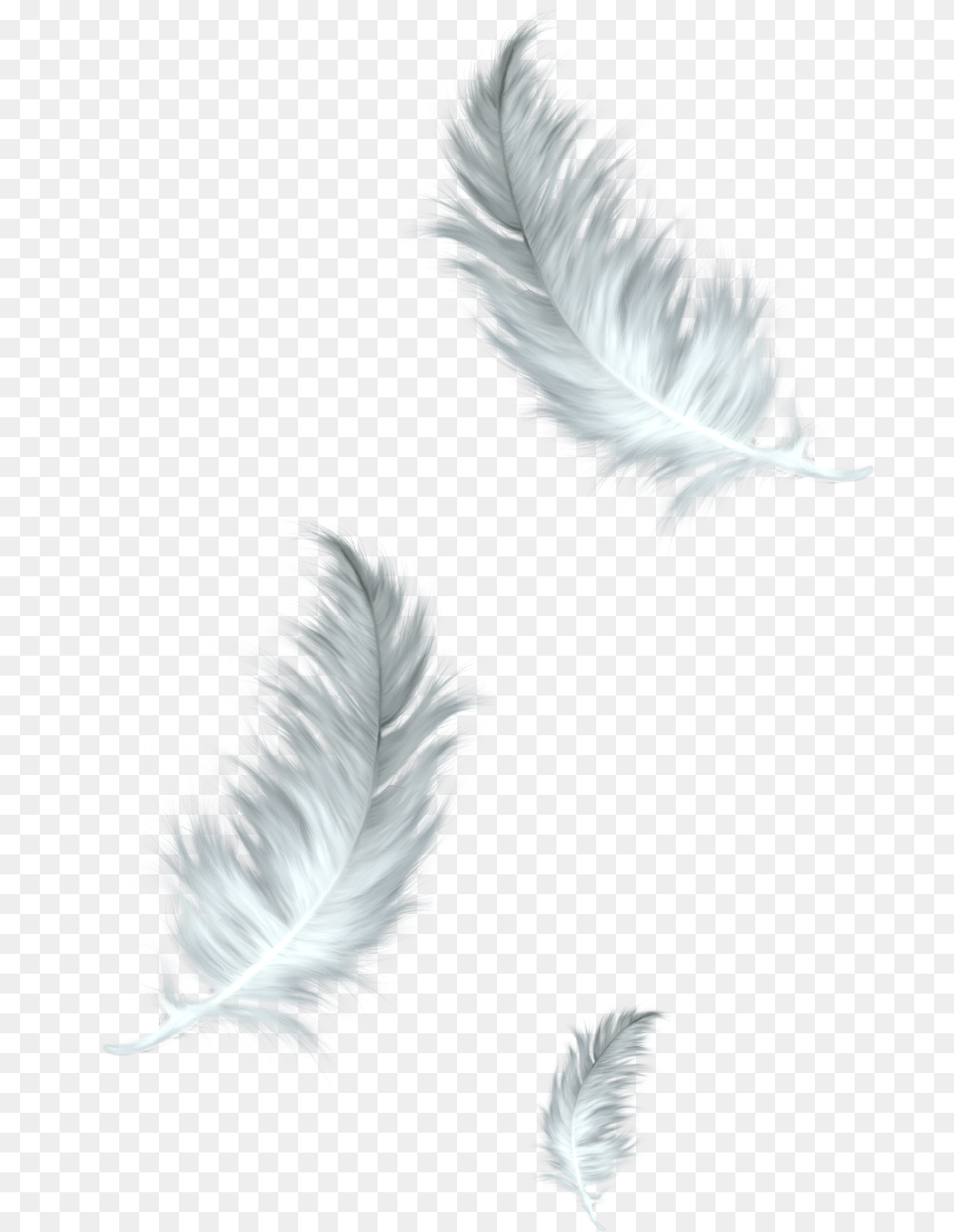 Falling Feathers Floating Feather, Accessories, Pattern Free Transparent Png