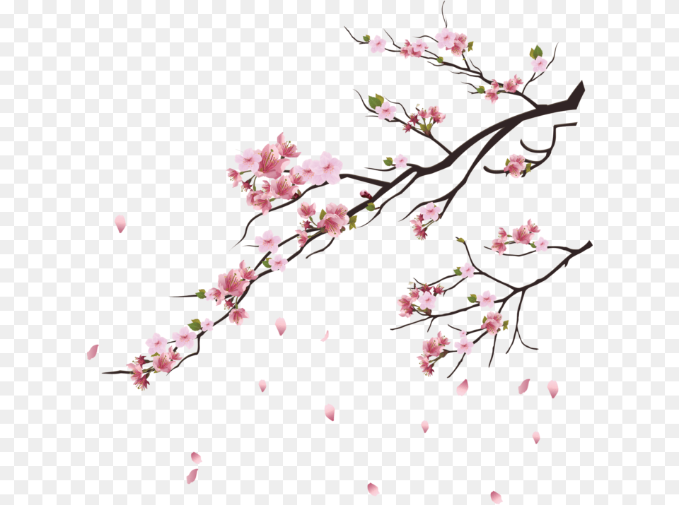 Falling Flowers Petal Image Searchpng Cherry Blossom Tree, Flower, Plant, Cherry Blossom Free Transparent Png