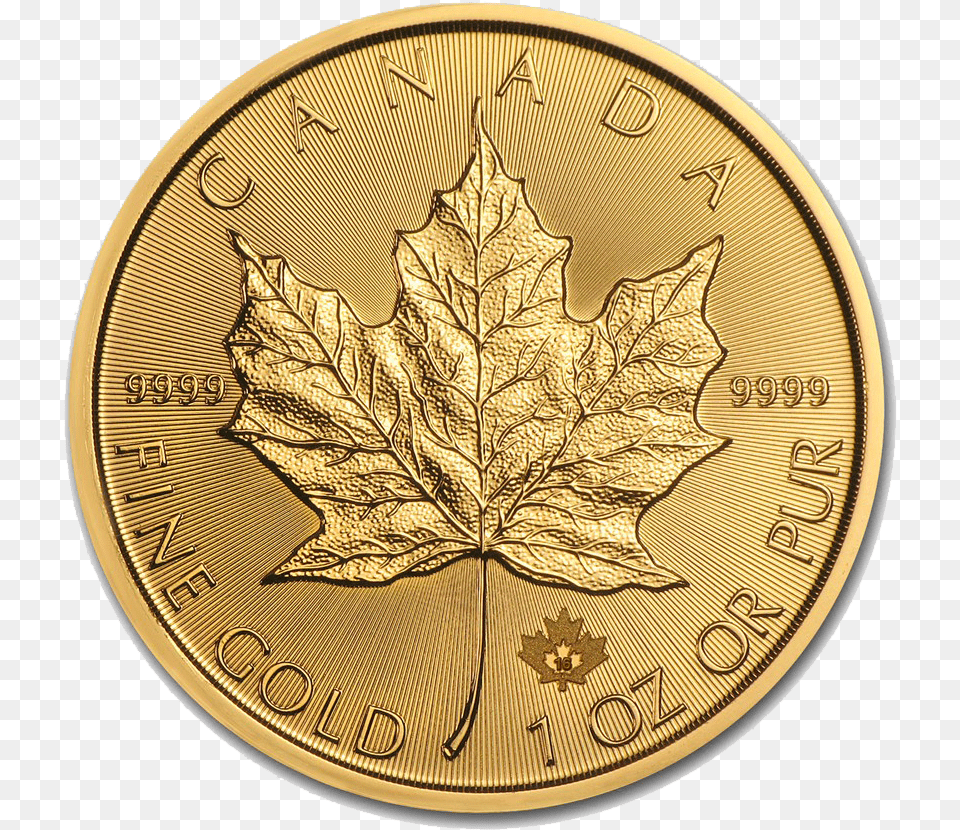 Falling Gold Coins Canadian Maple Leaf 1oz Gold Coin Unisex T Shirt, Plant Png Image
