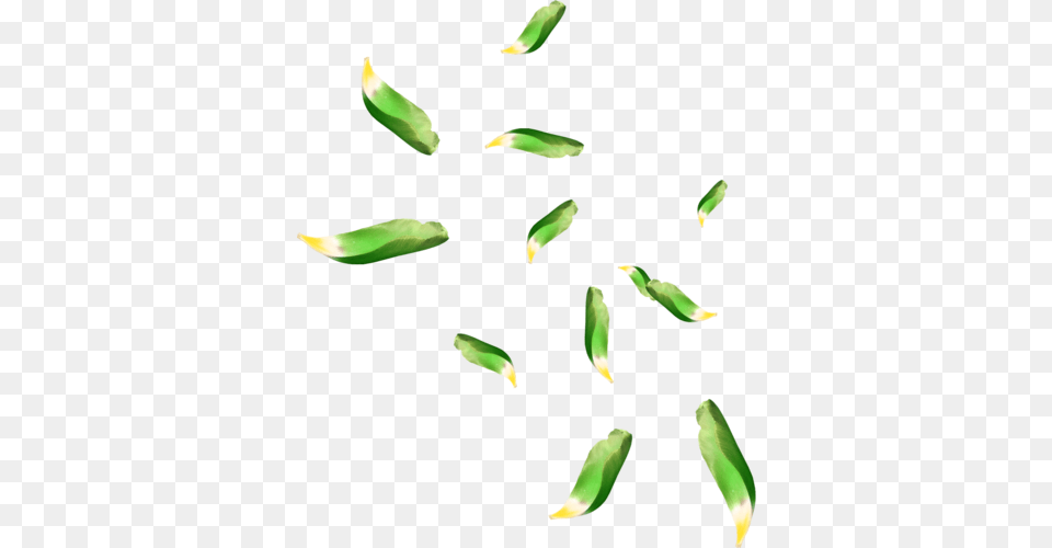 Falling Green Leaves High Quality Image Arts, Plant, Petal, Flower, Accessories Png