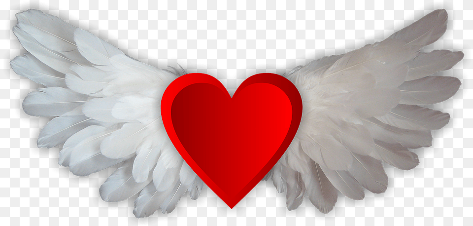 Falling In Love Images Wings Heart, Symbol, Animal, Bird Free Transparent Png
