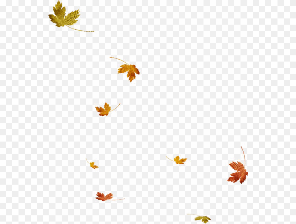 Falling Leaf File Leaf, Plant, Tree, Maple Leaf, Animal Free Png