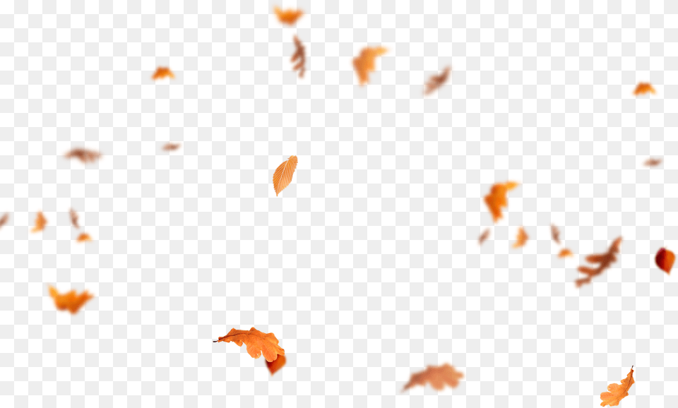 Falling Leaves Autumn Leaves Flying, Dynamite, Person, Weapon, Leaf Png