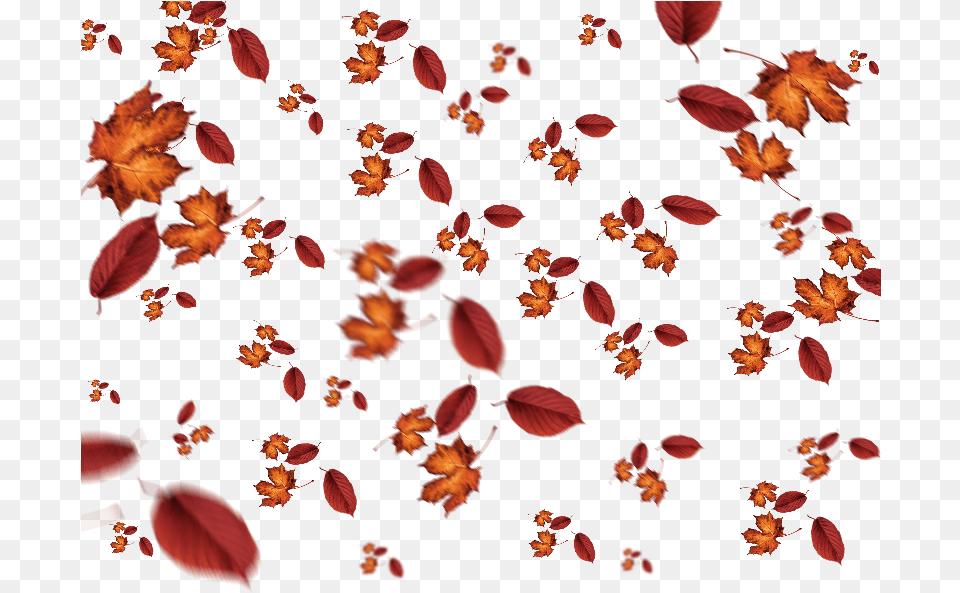 Falling Leaves Autumn Texture Overlay Lizzka, Flower, Leaf, Pattern, Petal Free Png