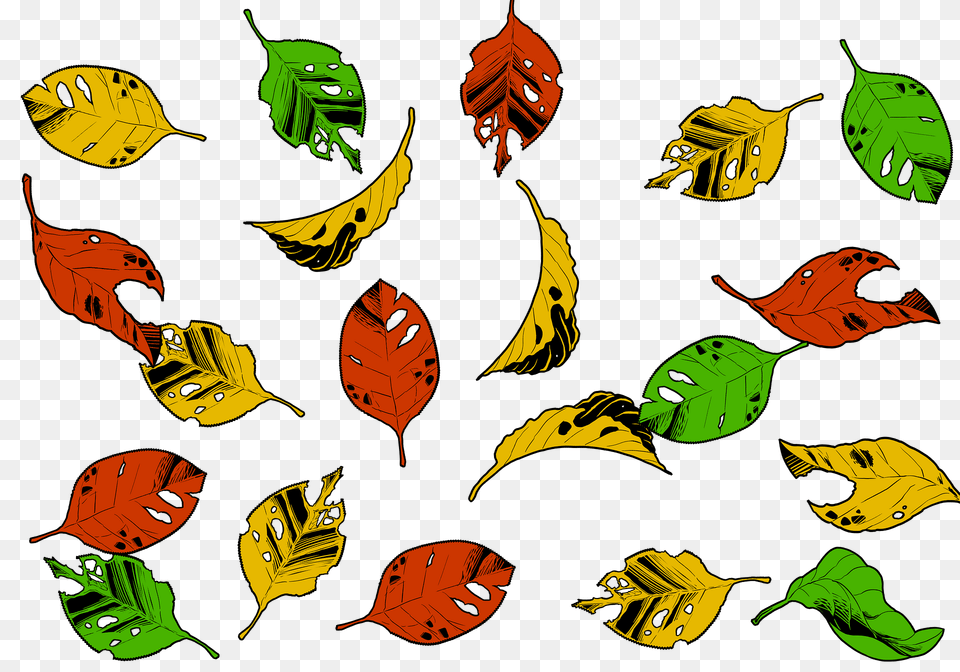 Falling Leaves Clipart, Leaf, Plant, Vegetation, Graphics Png