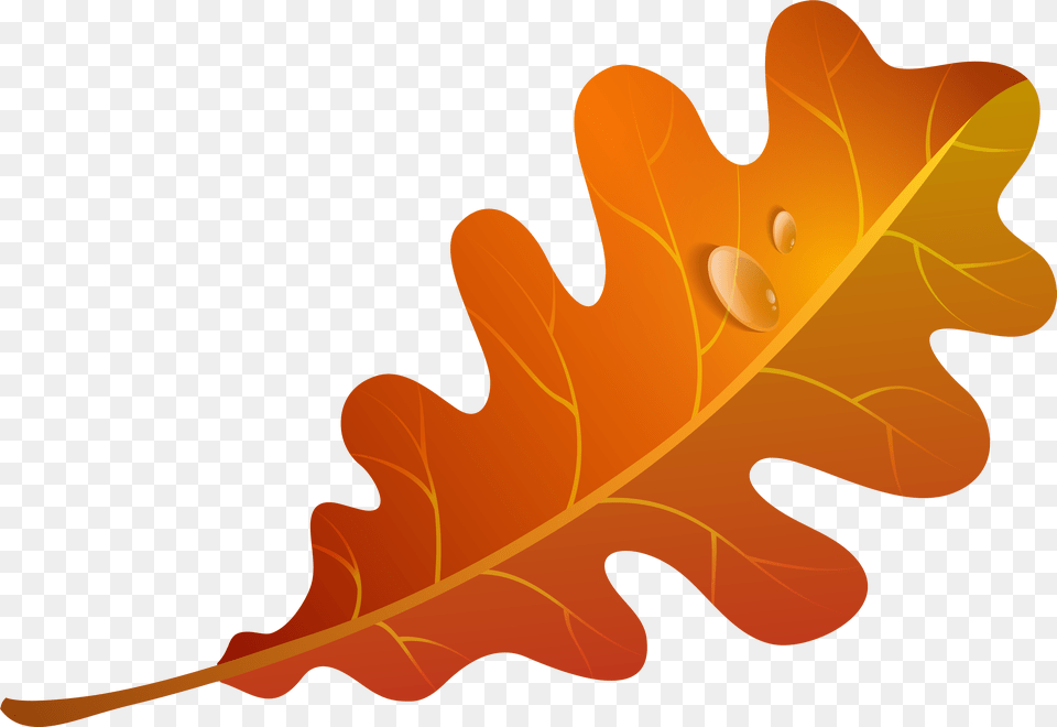 Falling Leaves Clipart Autumn Oak Leaves Clipart, Leaf, Plant, Tree, Food Free Transparent Png