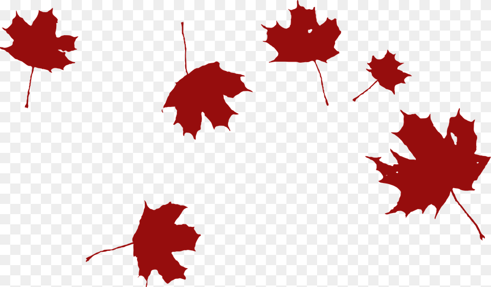 Falling Leaves Clipart Black And White, Leaf, Plant, Tree, Maple Leaf Png