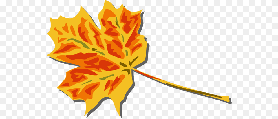 Falling Leaves Clipart Group With Items, Leaf, Plant, Maple Leaf, Tree Free Png