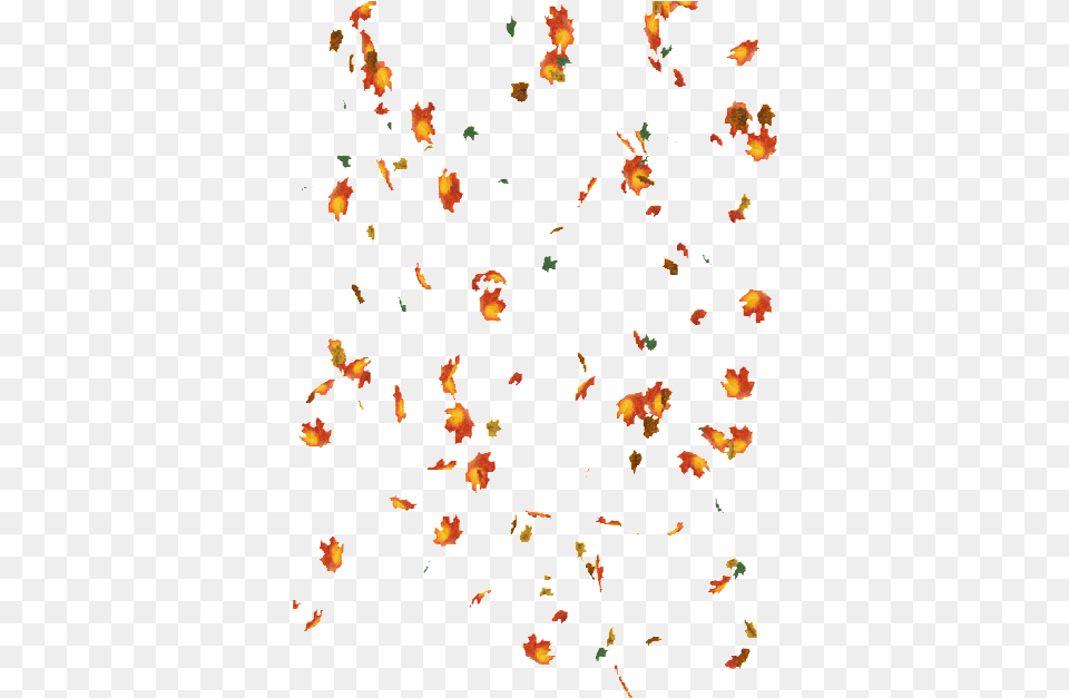 Falling Leaves Gif, Leaf, Plant, Paper, Person Png