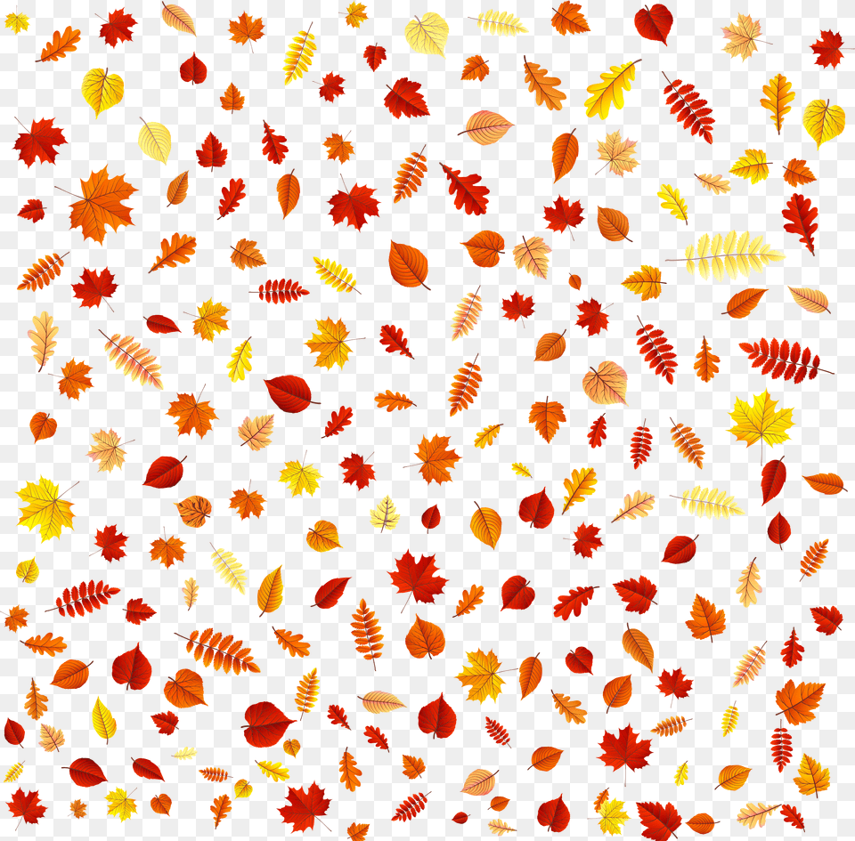 Falling Leaves Overlay Transparent Free Png Download