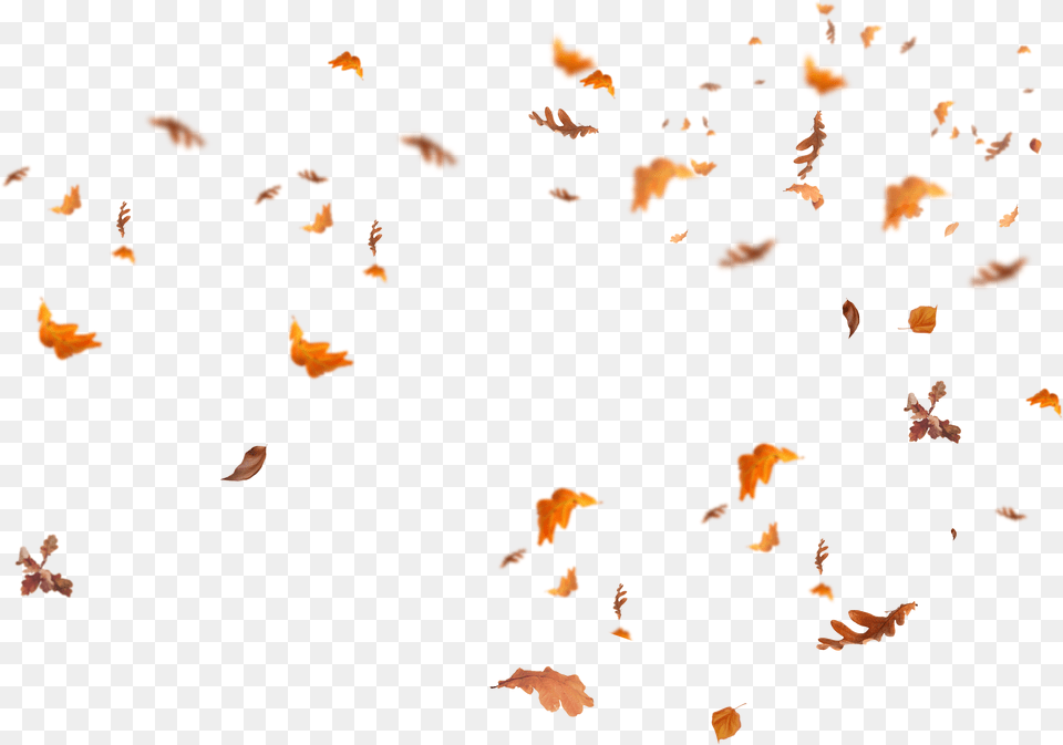 Falling Leaves Transparent Fall Leaves Overlay, Art, Modern Art, Collage, Person Png Image