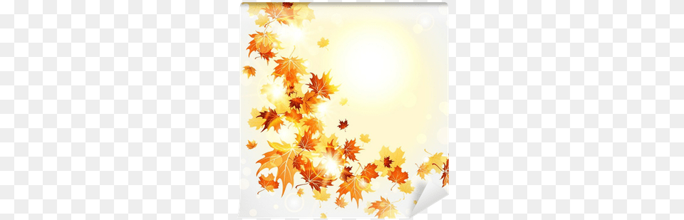 Falling Leaves Wall Mural U2022 Pixers We Live To Change Autumn, Leaf, Plant, Tree, Sunlight Png
