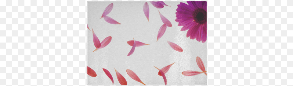 Falling Petals Glass Cutting Board East Urban Home 39single Pink Flower39 Graphic Art Print, Daisy, Flower, Petal, Plant Png