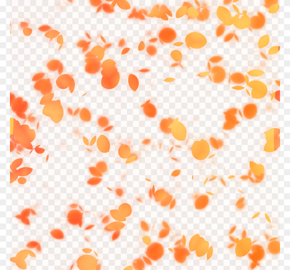 Falling Petals Transparent, Pattern, Texture, Accessories Png