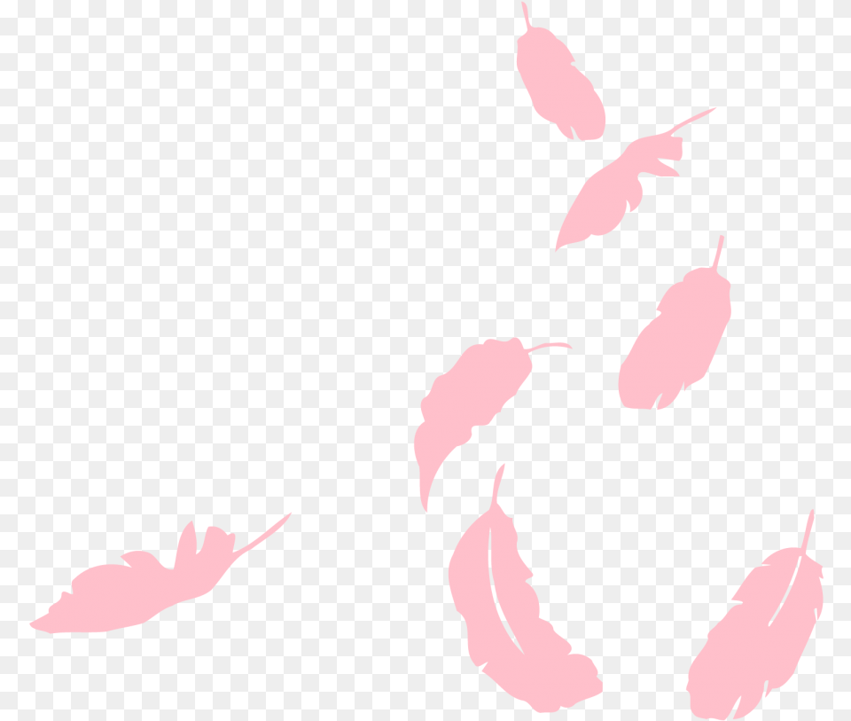 Falling Pink Feathers, Leaf, Plant, Silhouette Png Image