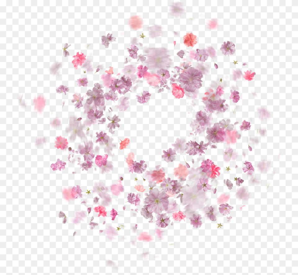 Falling Rose Petals Pocsart Background Floral Circle, Flower, Petal, Plant, Paper Free Transparent Png