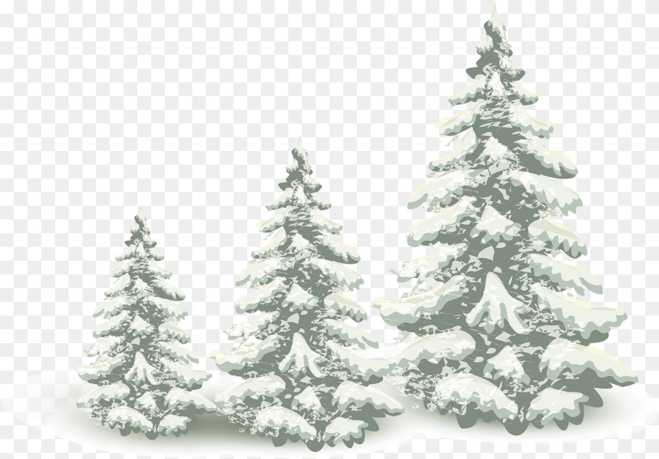 Falling Snow Pine Tree Falling Snow Transparent, Fir, Plant, Wedding, Adult Free Png Download
