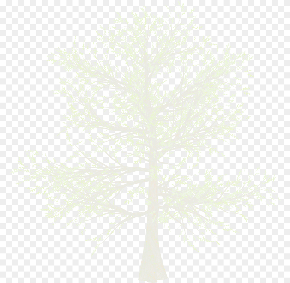 Falling Snow Transparent Red Pine, Tree, Plant, Art, Outdoors Free Png