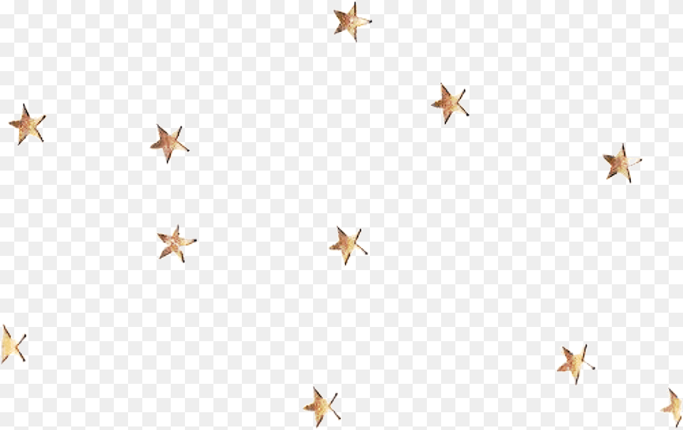 Falling Stars Gif Gold Star Sticker, Star Symbol, Symbol, Animal, Bird Png