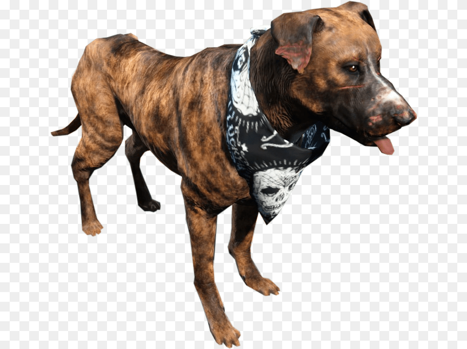 Fallout 4 Dog Junkyard Dog Fallout, Animal, Canine, Mammal, Pet Png Image