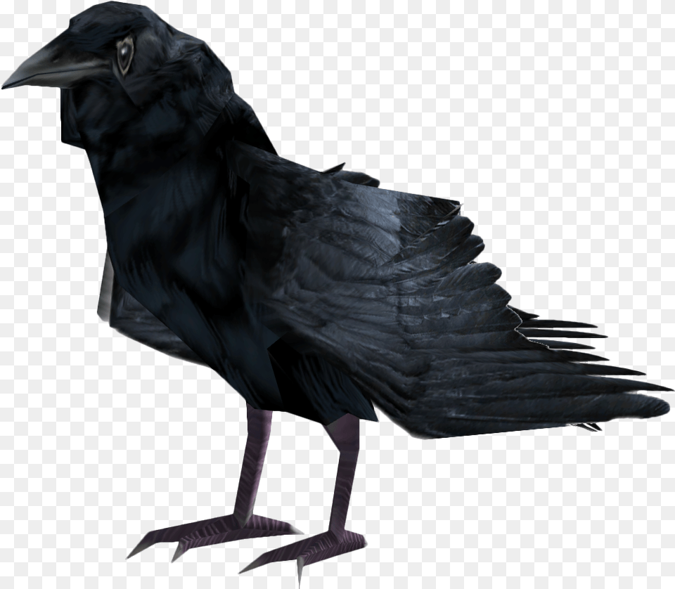 Fallout 4 Raven, Animal, Bird, Blackbird, Crow Png Image